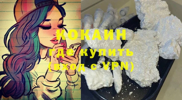 кокс Алексин