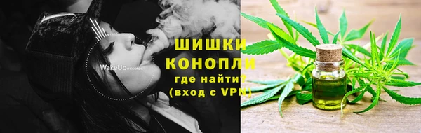 дживик Абинск