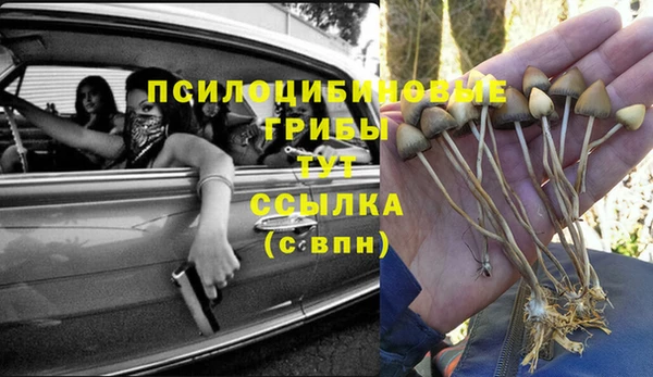 Альфа ПВП Абдулино