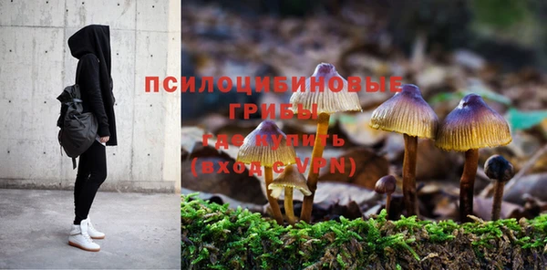 дживик Абинск