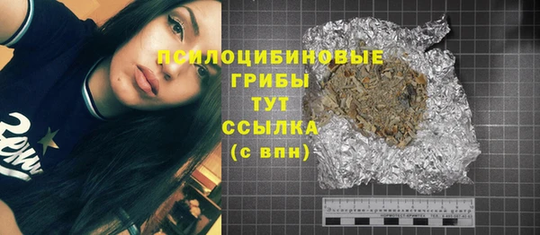 дживик Абинск