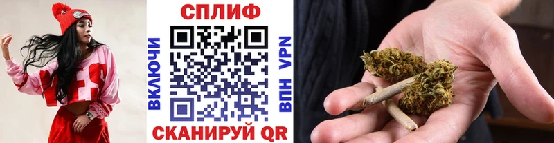 где можно купить   Киржач  Канабис тримм 
